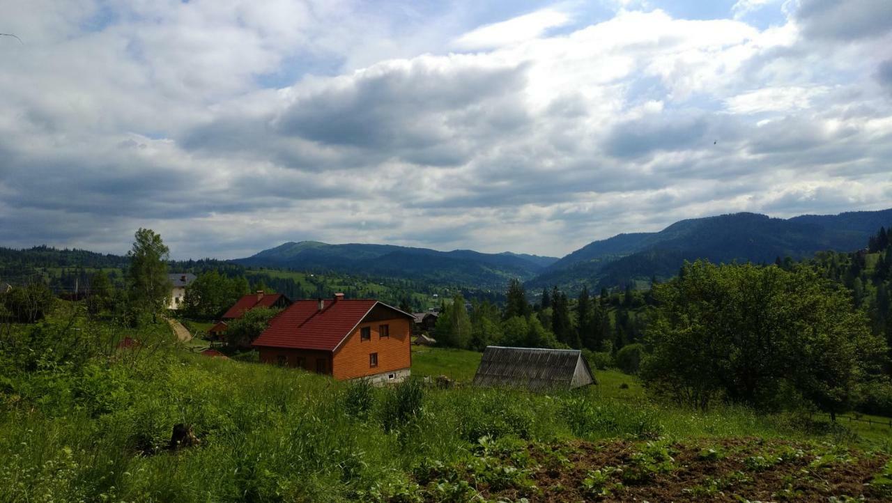 Zacharovany Karpaty سلافسكي المظهر الخارجي الصورة