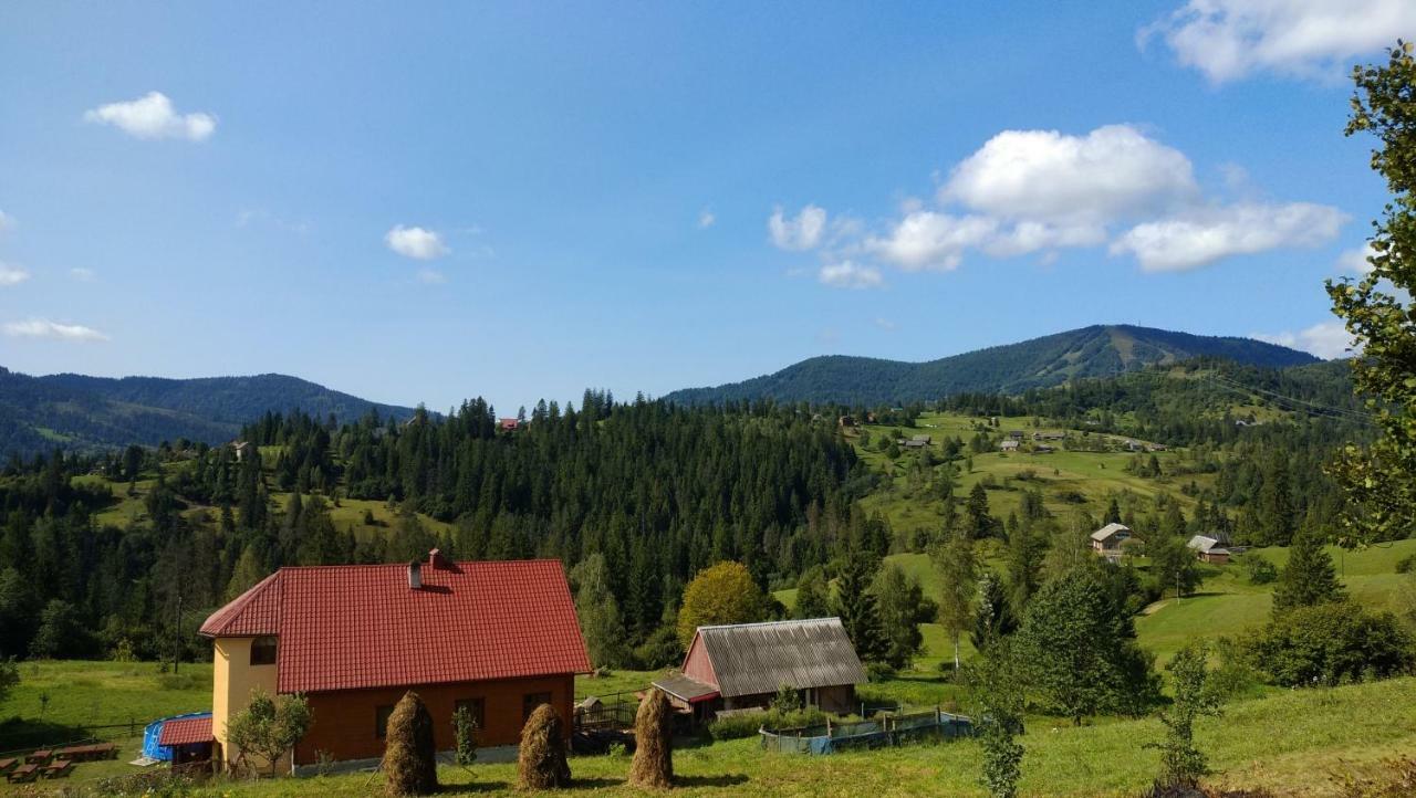 Zacharovany Karpaty سلافسكي المظهر الخارجي الصورة